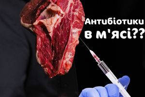 Мясо с антибиотиками???😱 😱