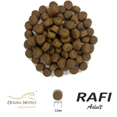 Сухой корм для взрослых собак Dolina Noteci RAFI с ягненком и рисом, 10 кг