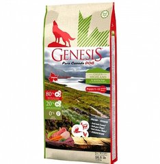 Genesis Green Highland Puppy