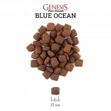 Genesis Blue Ocean Adult