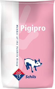 Pigipro Milk Сare - замінник молока для поросят, 25 кг