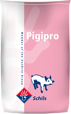 Pigipro Milk Сare, 25 кг