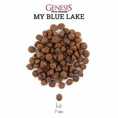 Genesis My Blue Lake Adult