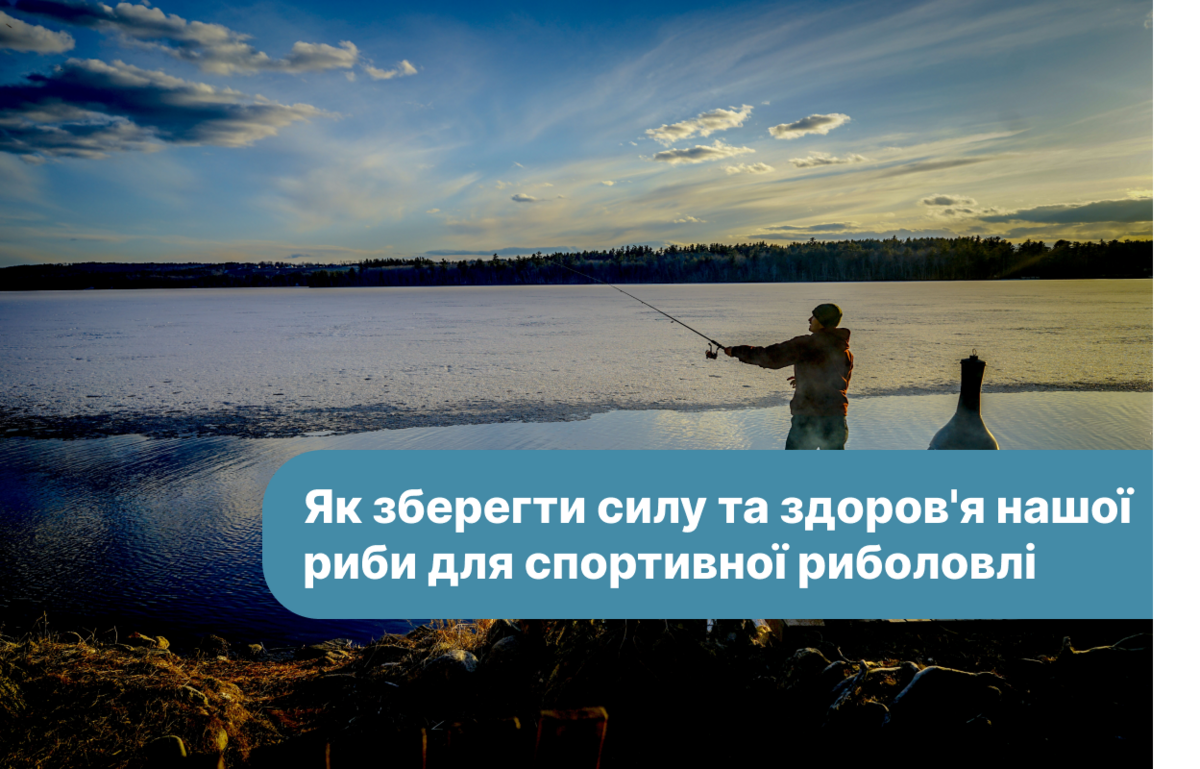 Щоб радість не закінчувалася: як зберегти силу та здоров'я нашої риби ...