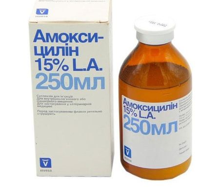 Амоксициллин 15% LA 100мл Livisto/Invesa - суспензия для инъекций